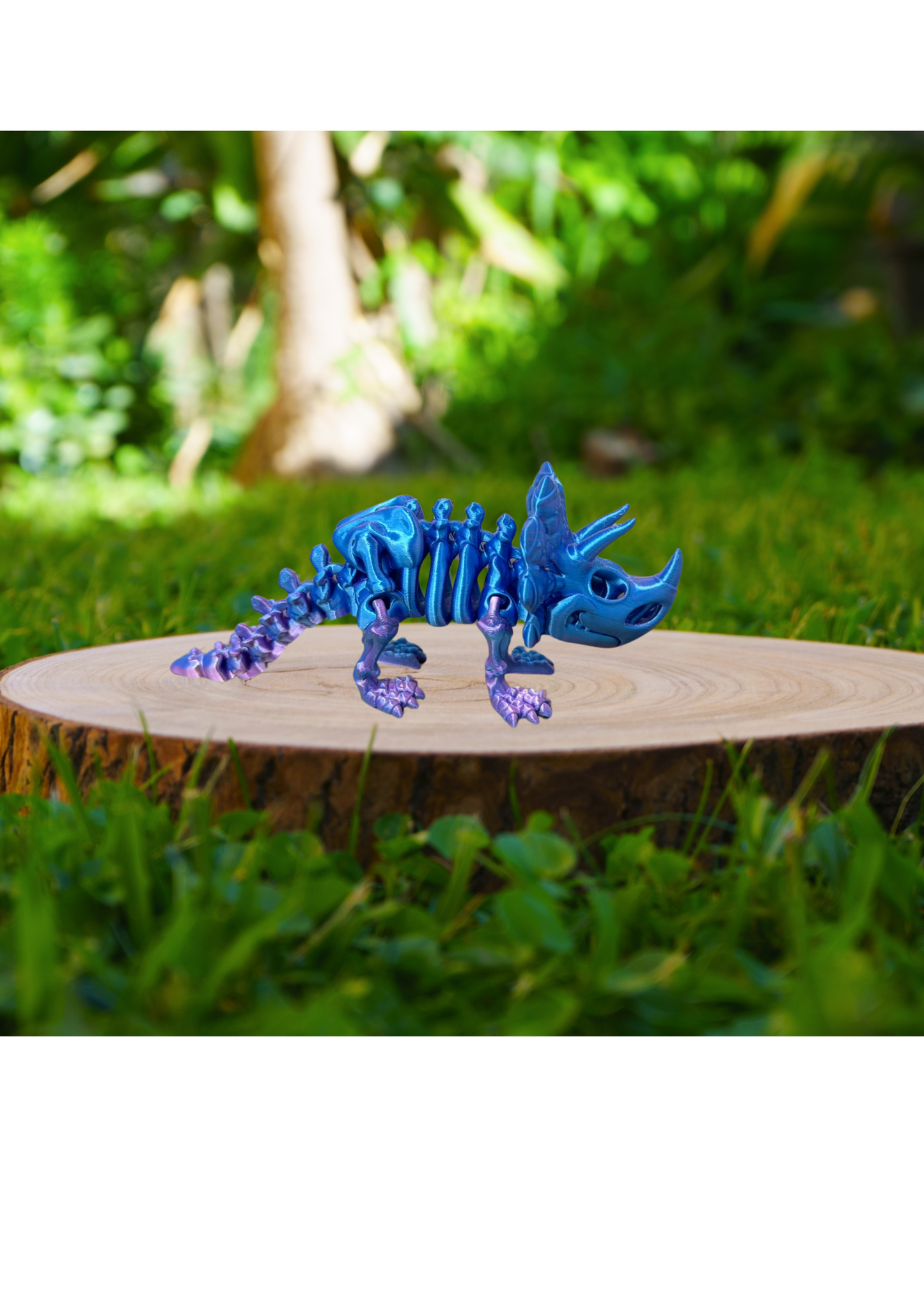 Triceratops