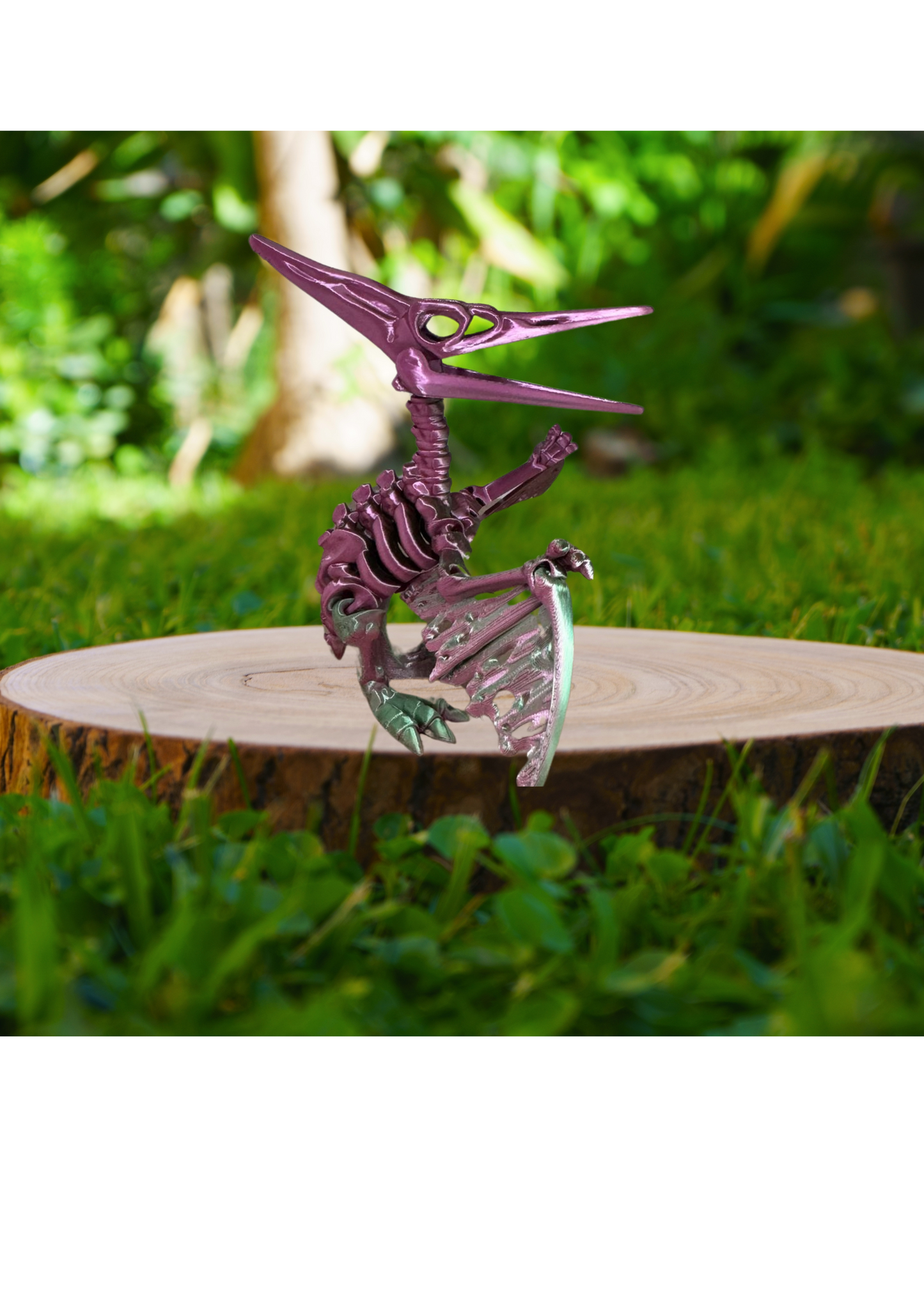 Pteranodon