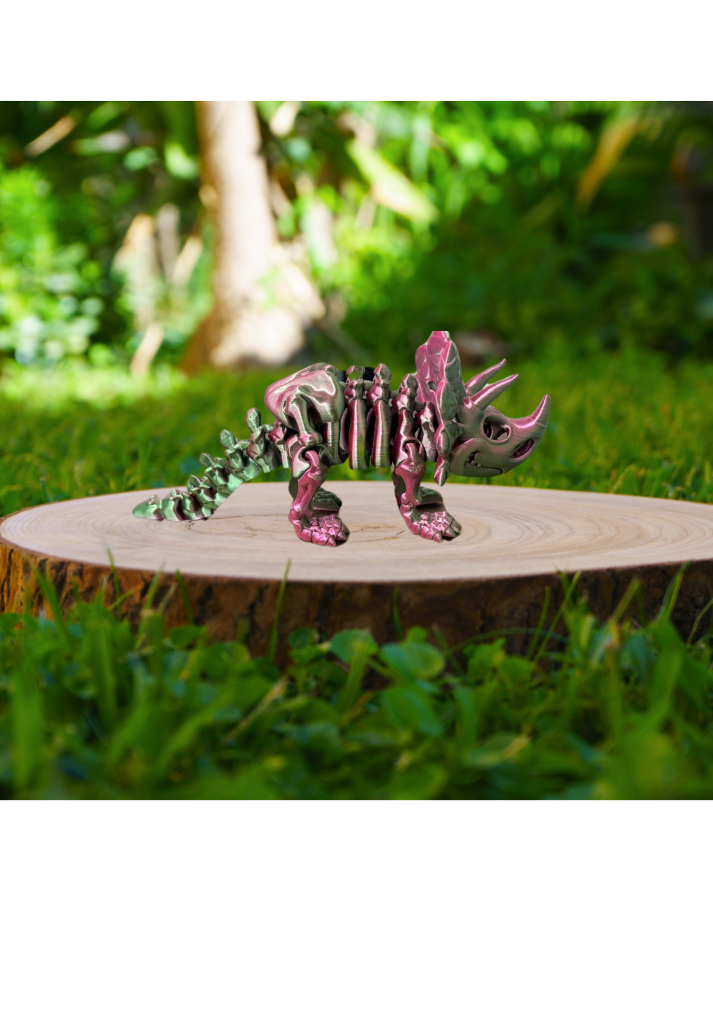 Triceratops