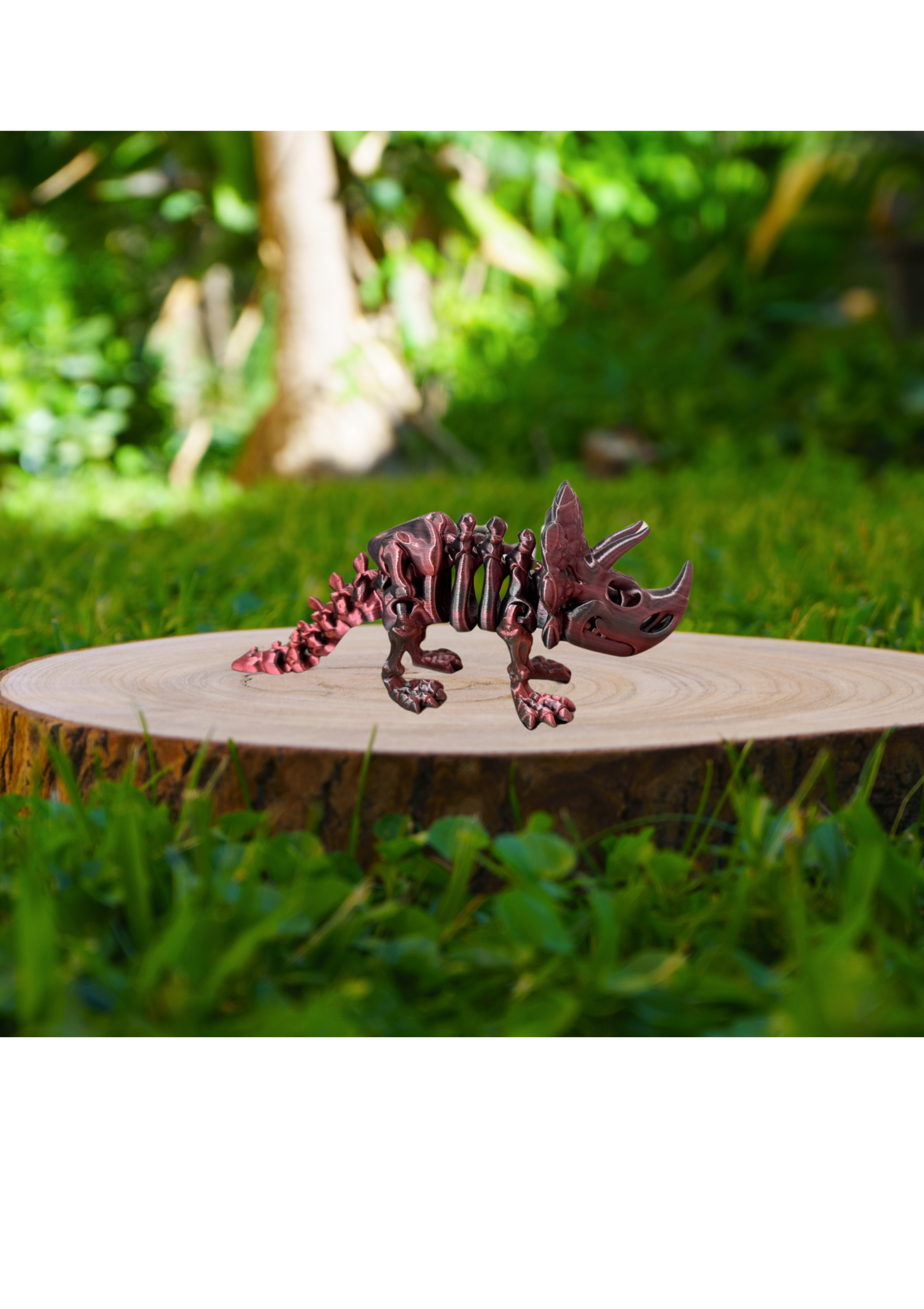 Triceratops