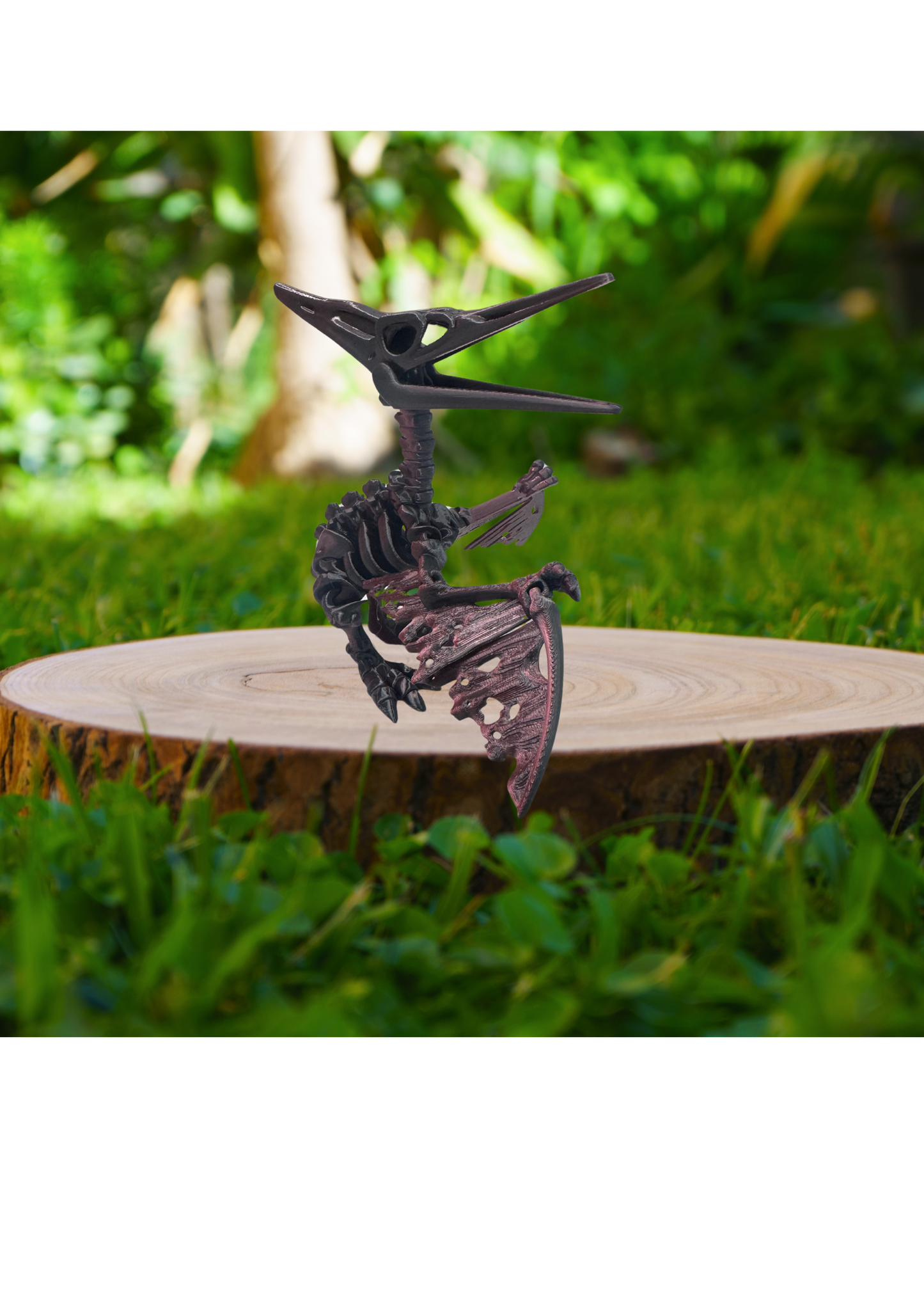 Pteranodon