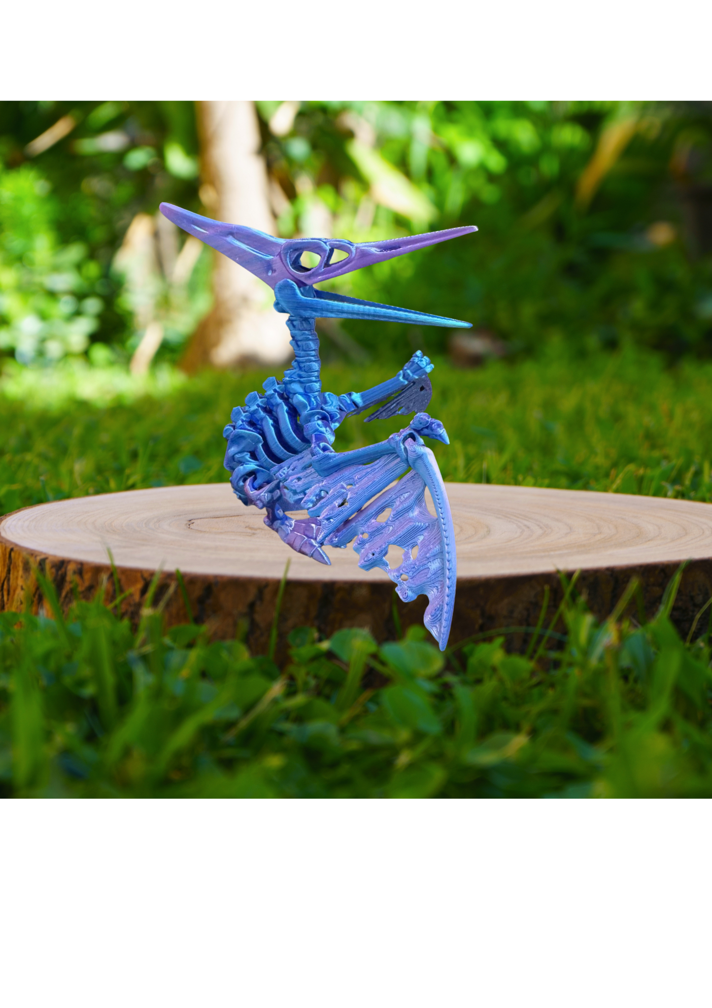Pteranodon