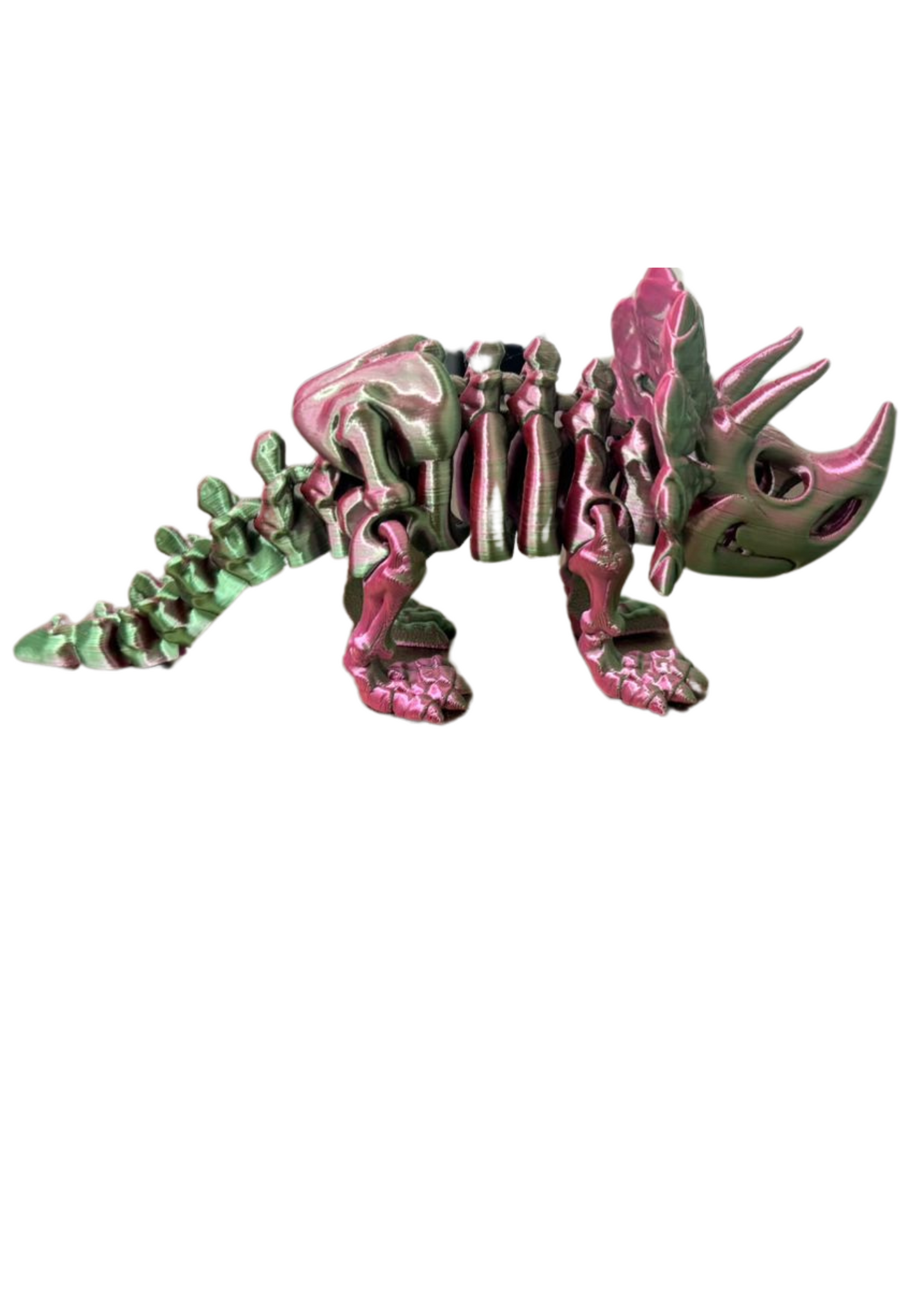Triceratops