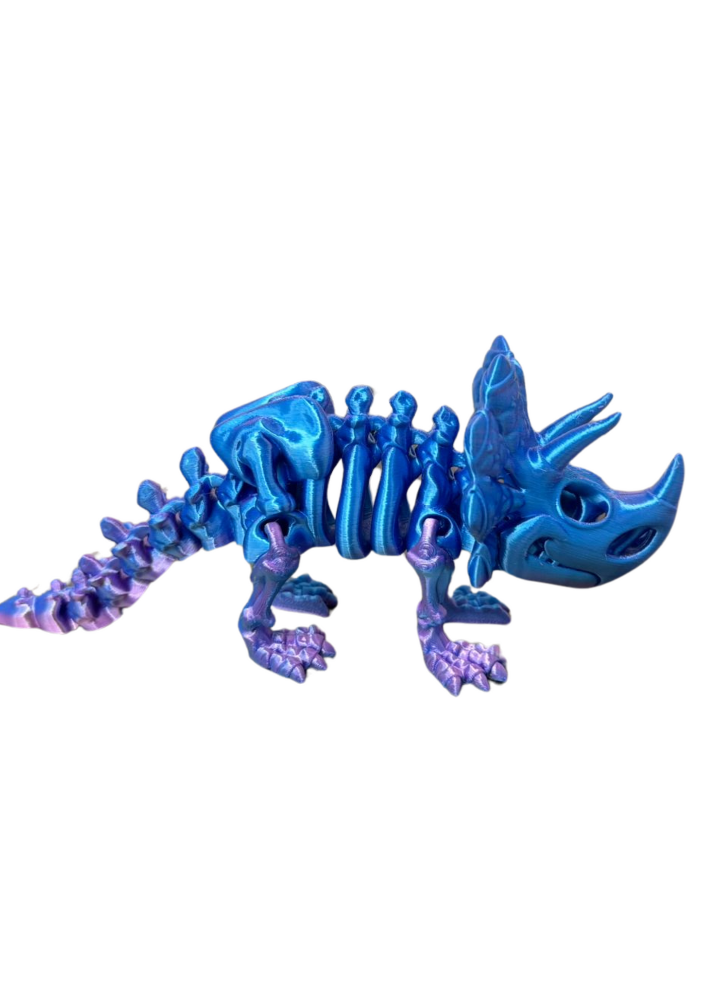 Triceratops