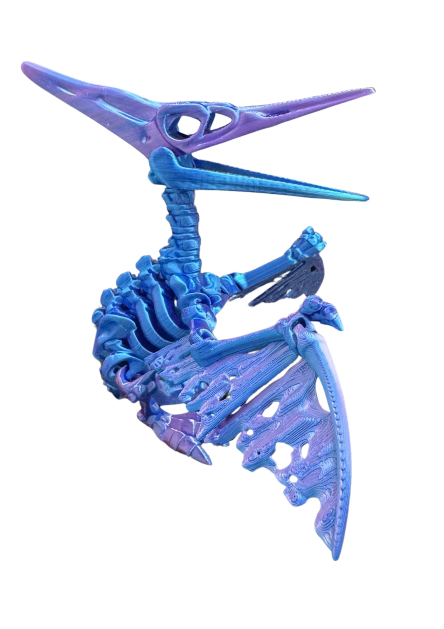 Pteranodon