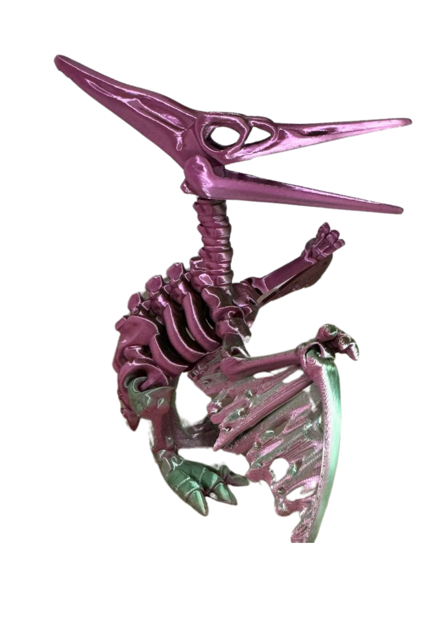 Pteranodon