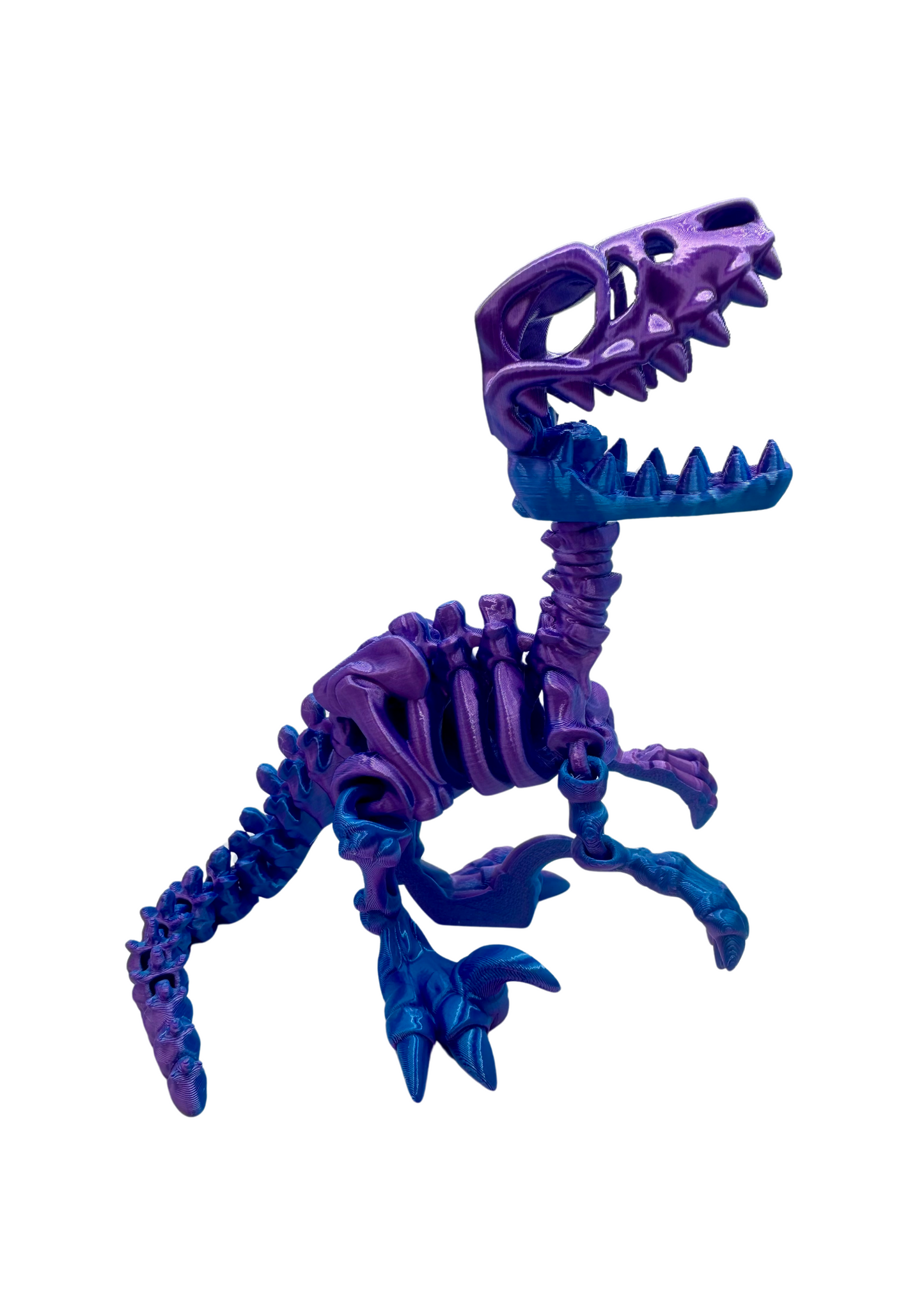 VELOCIRAPTOR