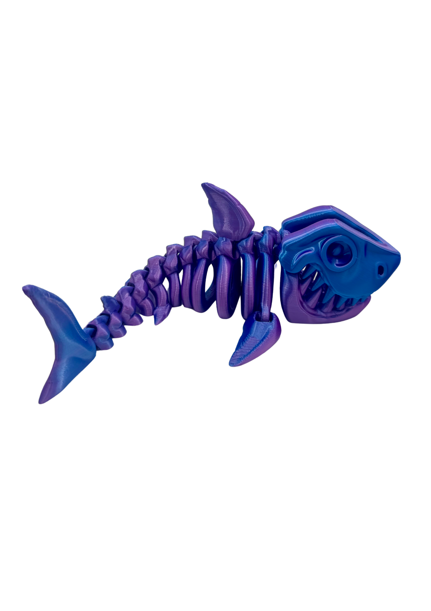 MEGALODON