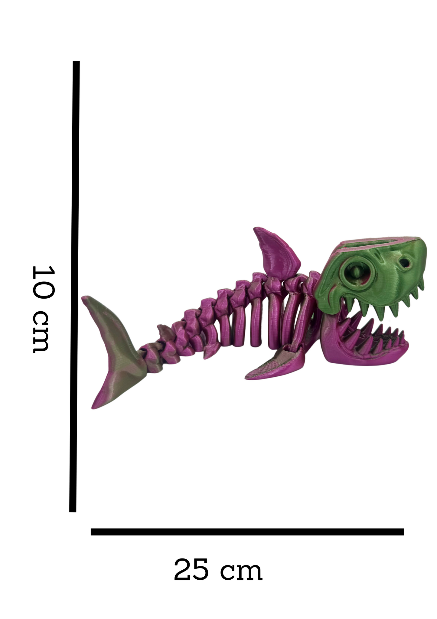 MEGALODON