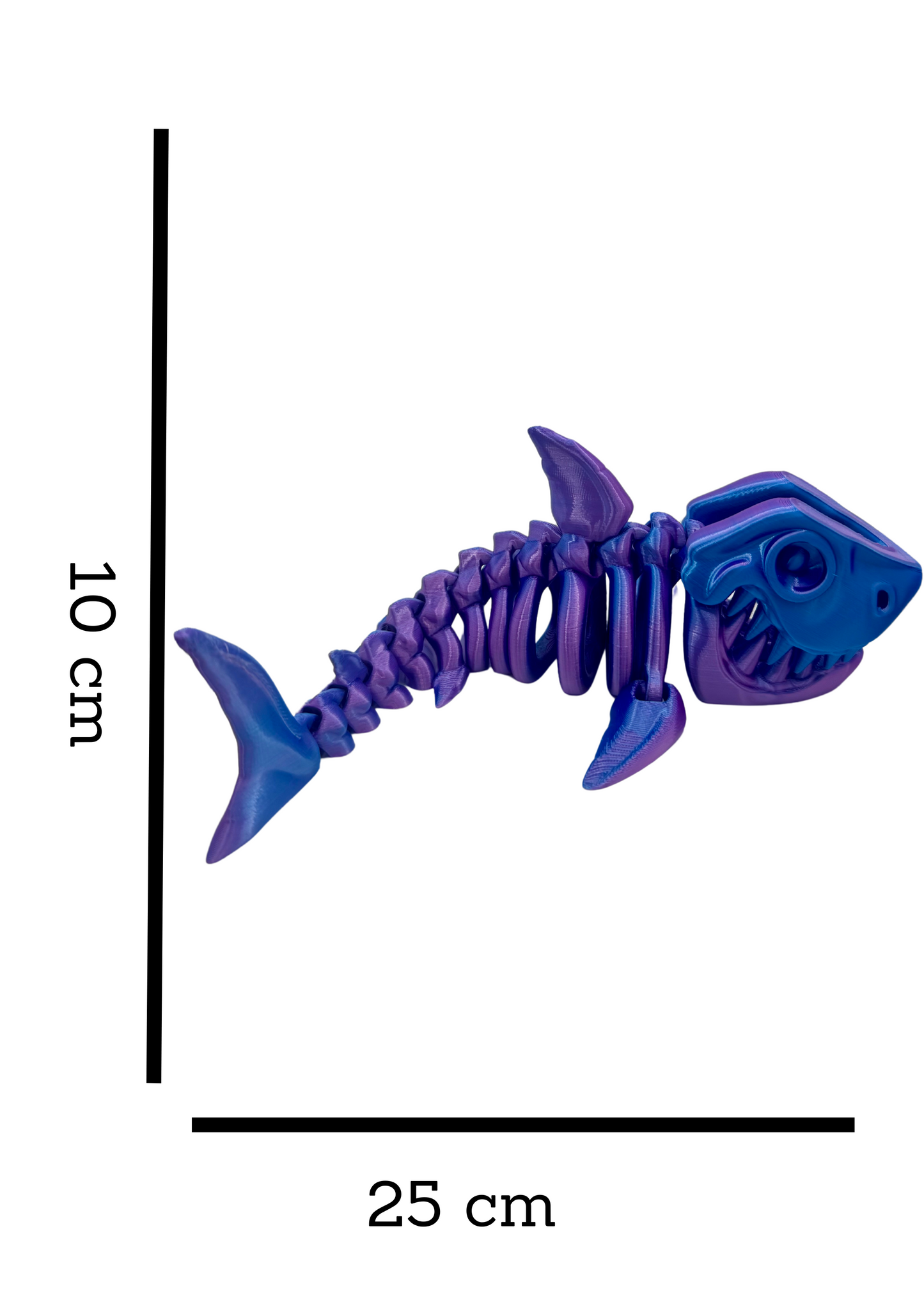 MEGALODON
