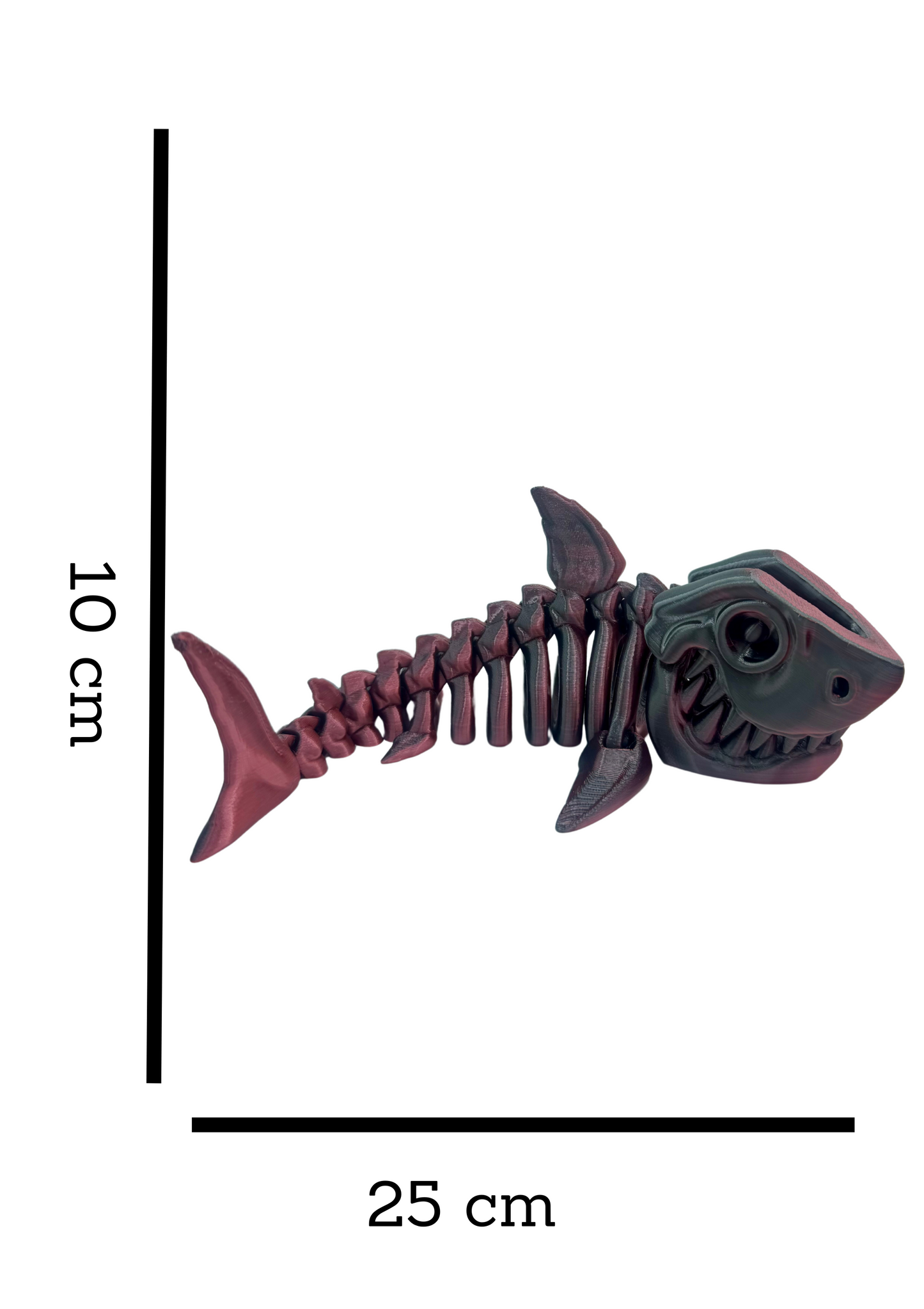 MEGALODON
