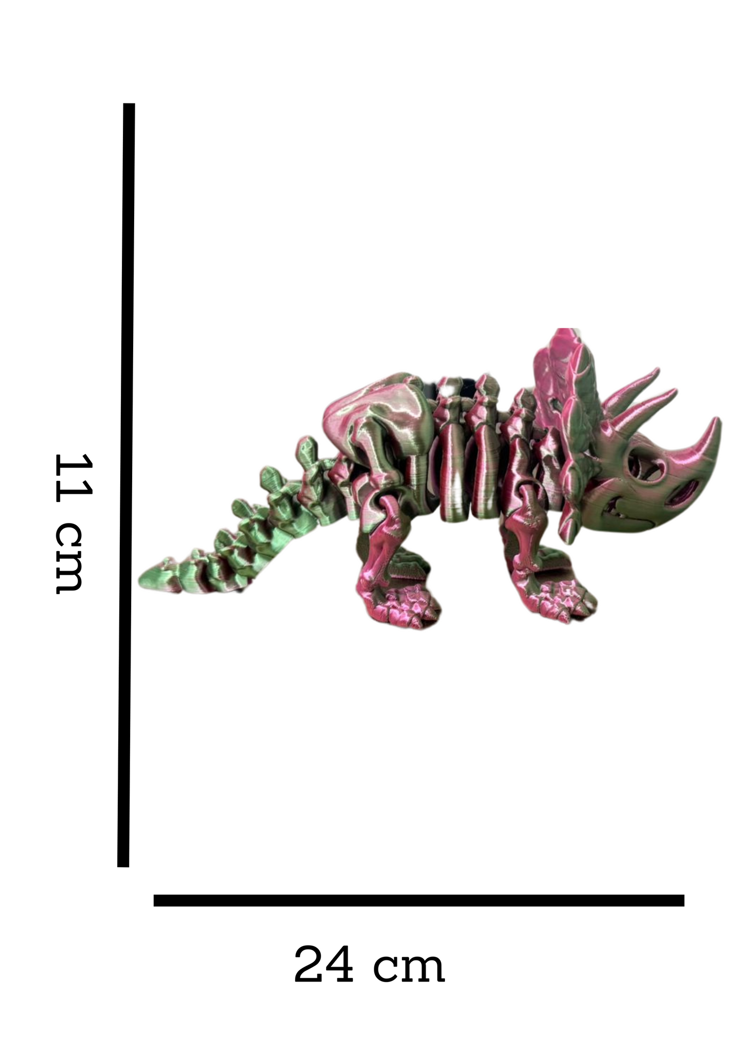 Triceratops