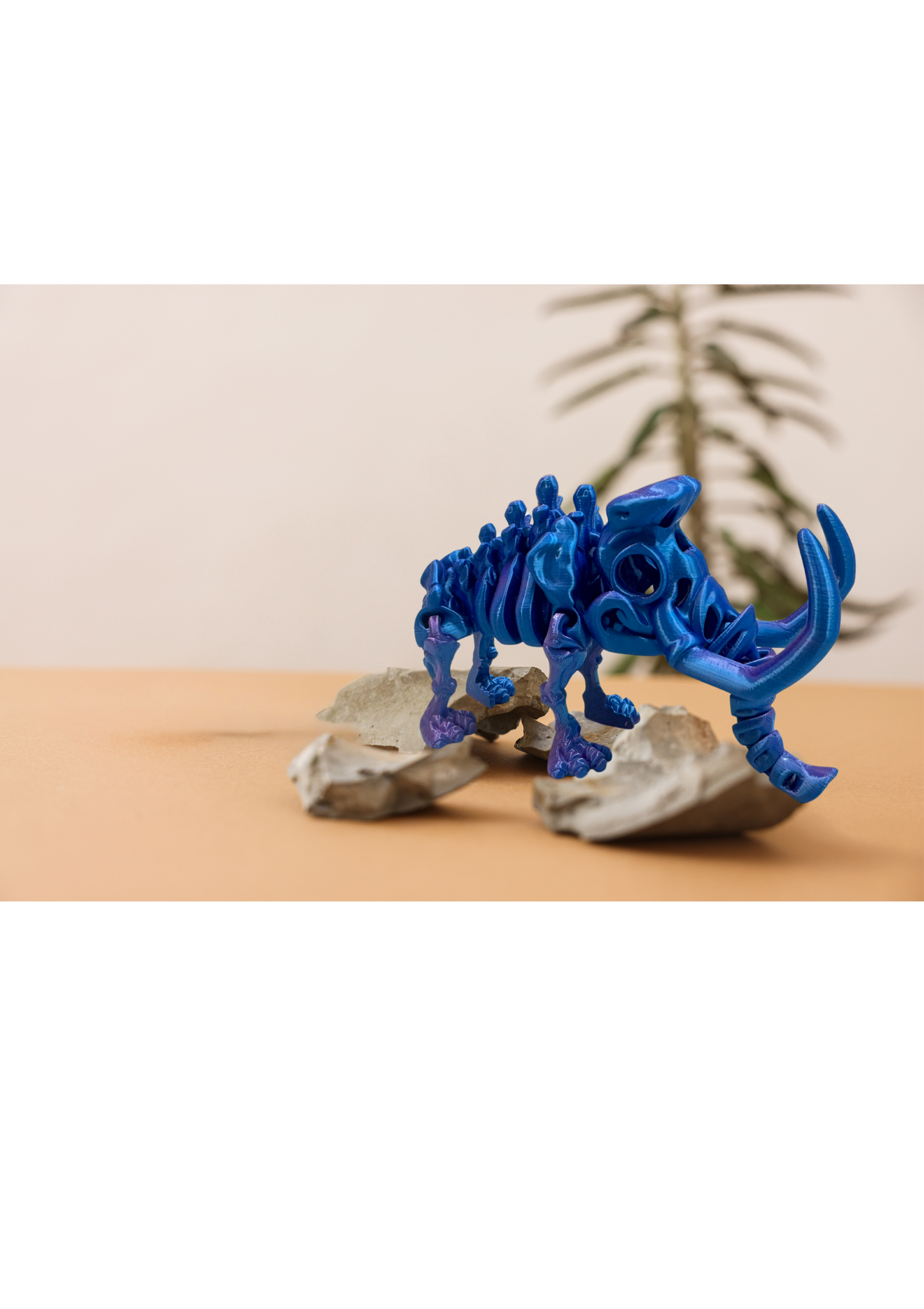 MAMUT