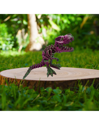 T REX