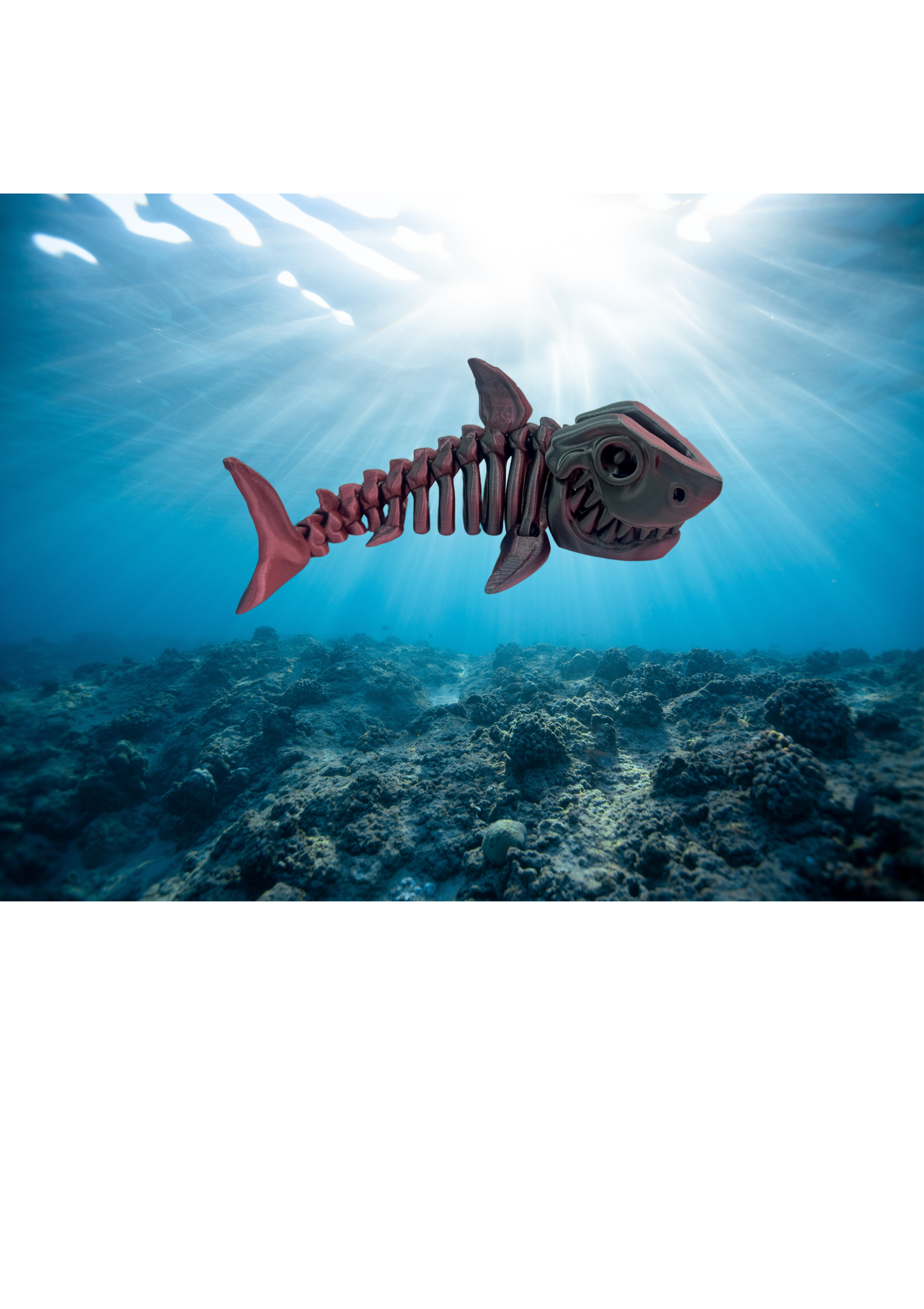 MEGALODON