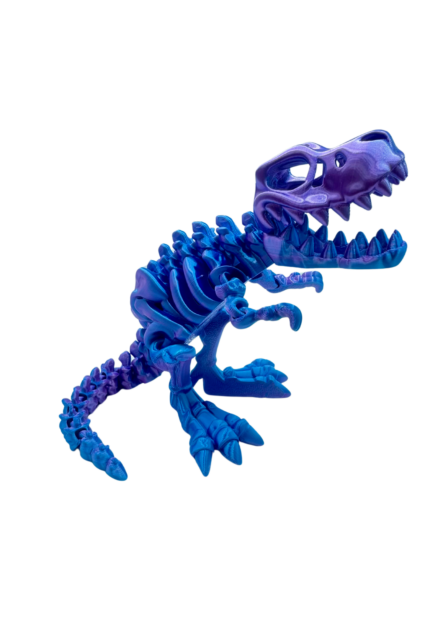 T REX