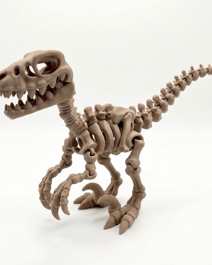 Velociraptor Articulado Impreso en 3D | 22 Articulaciones | Toyverse 3D