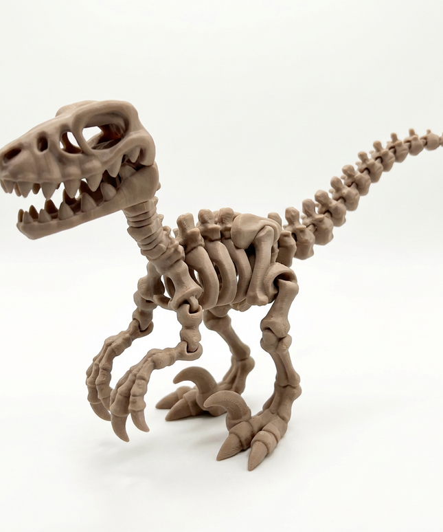 Velociraptor Articulado Impreso en 3D | 22 Articulaciones | Toyverse 3D